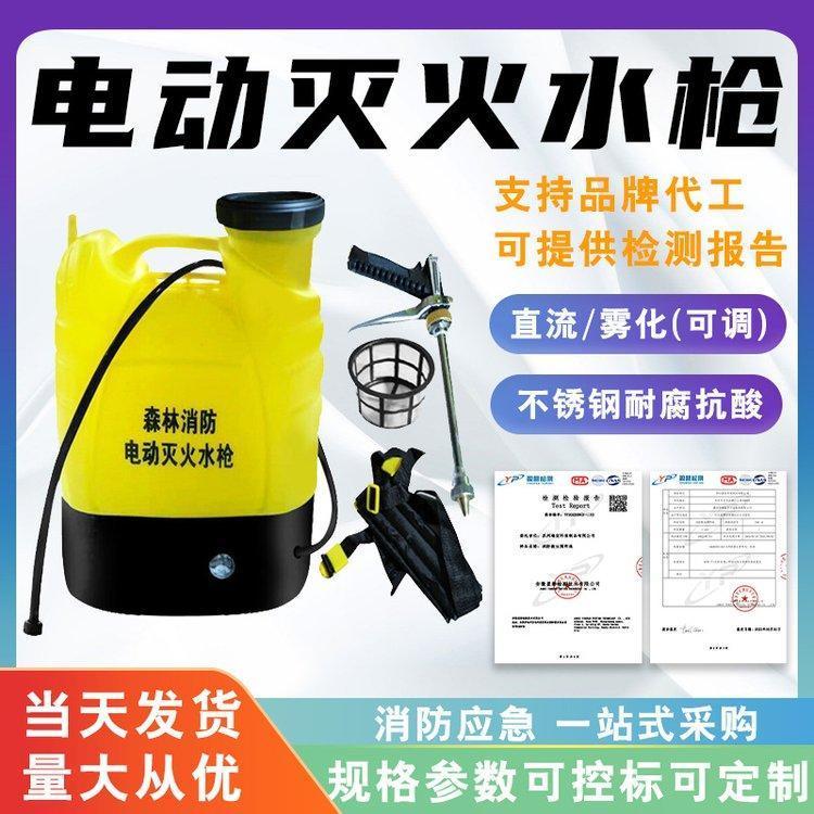 往复式电动灭火水枪森林消防救援喷雾水枪多功能背桶式扑火水枪