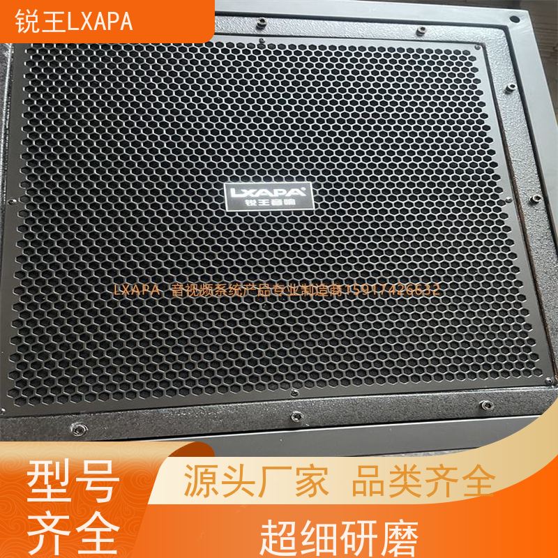 锐王LXAPA 演出舞台音响设备 校园音柱 广播系统 会议音箱
