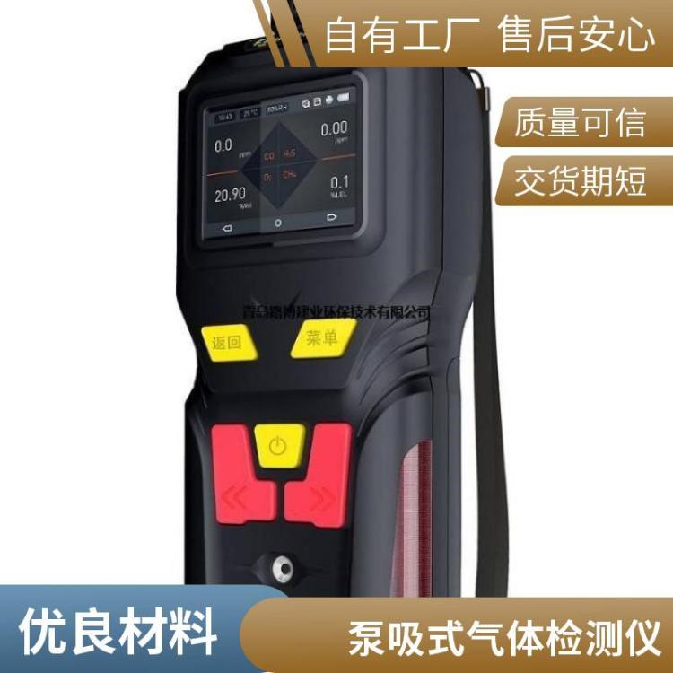 多功能气体检测仪 有毒有害气体测试仪 LB-MS4X