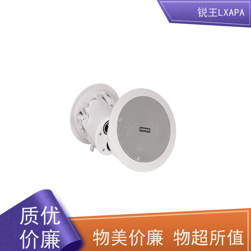 锐王LXAPA 声场饱满 音箱 会议有源音柱 多媒体教学音响设备