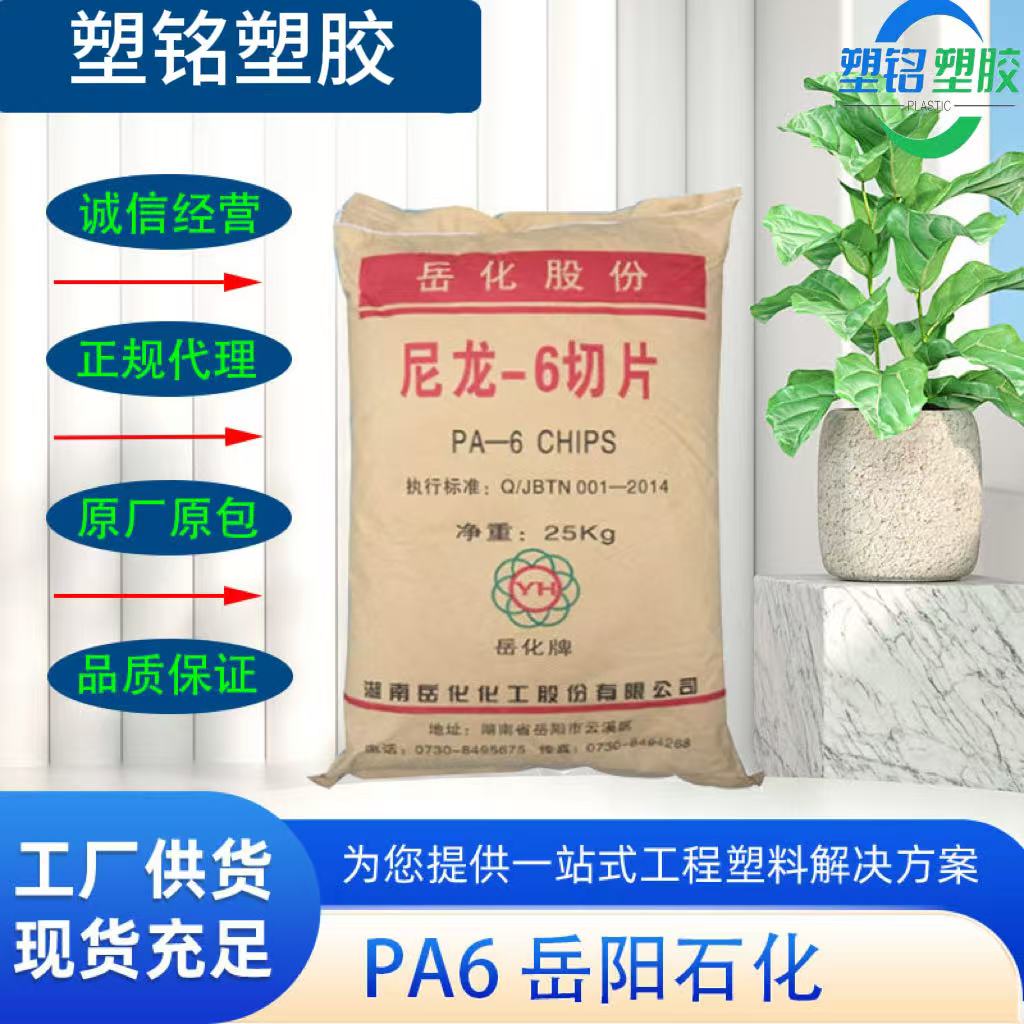 PA6