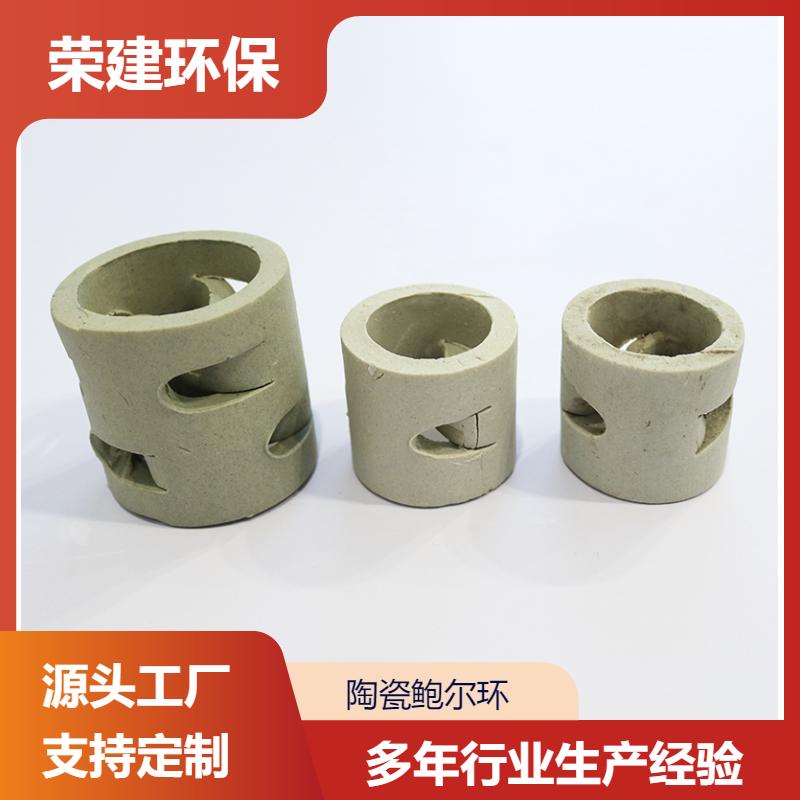 荣建环保 76mm 陶瓷鲍尔环填料 脱硫塔适用 规格齐全
