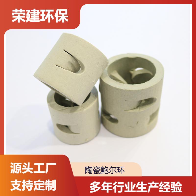 38mm 陶瓷鲍尔环填料 废气净化塔用 规格齐全 荣建环保