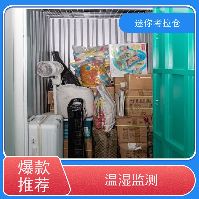 迷你考拉仓温湿监测搬家储物仓库广州出租网