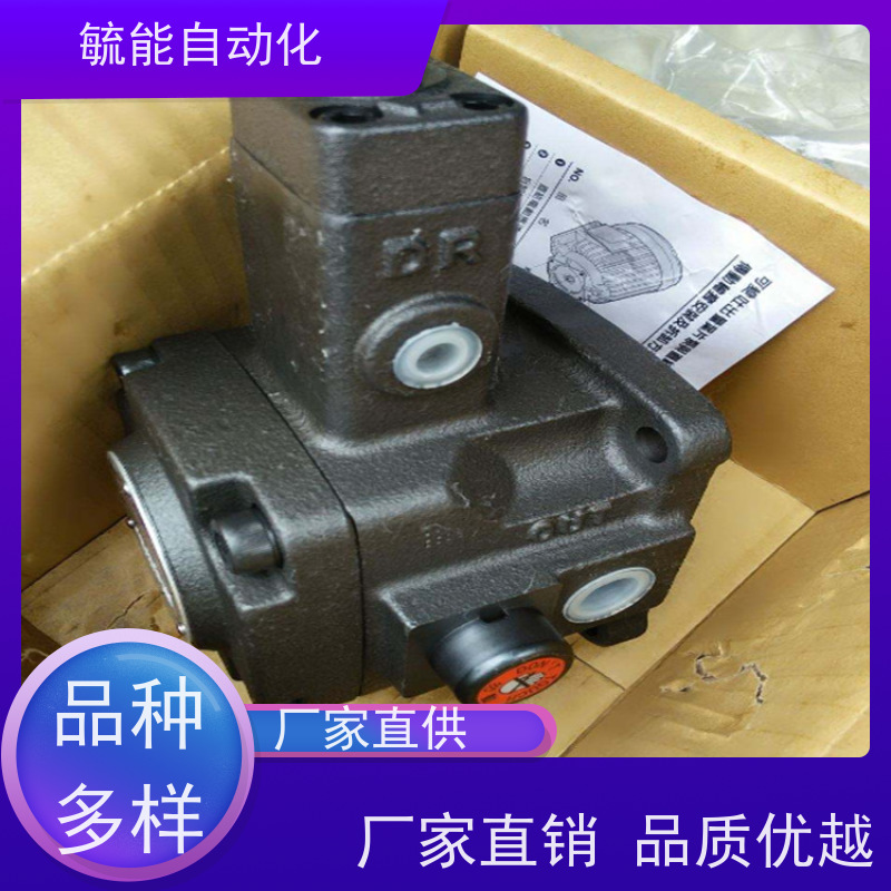 ANSON叶片泵精度高结构紧密橡胶硫化机安颂油泵