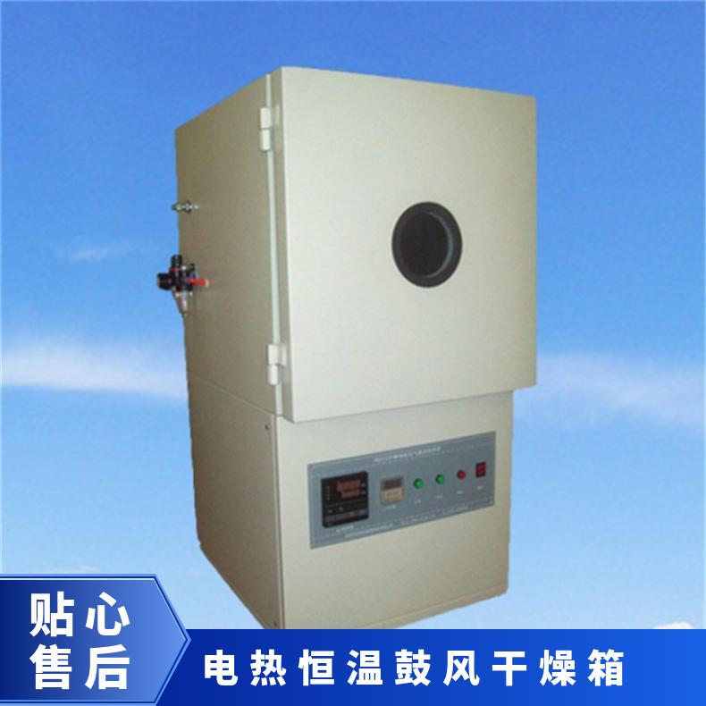 真空烤箱 电热恒温鼓风干燥箱 高温烘箱 XU8434 希欧仪器