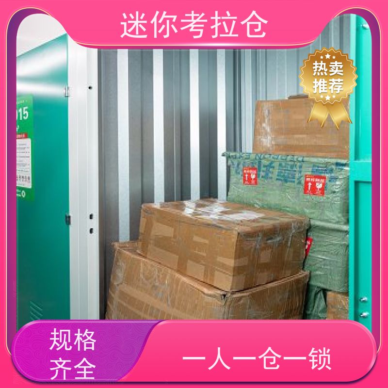 迷你考拉仓出租租赁24h监控广州搬家物品寄存仓库