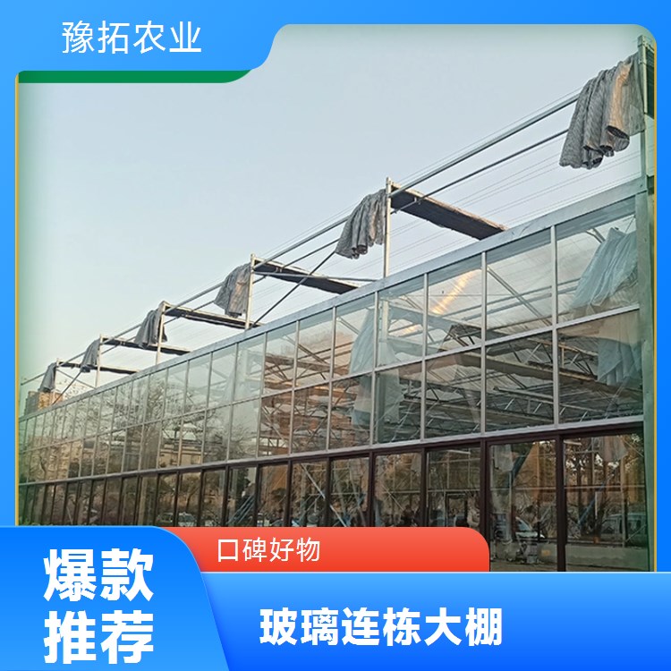 智能玻璃连栋大棚 抗寒能力较强 农用高温大棚