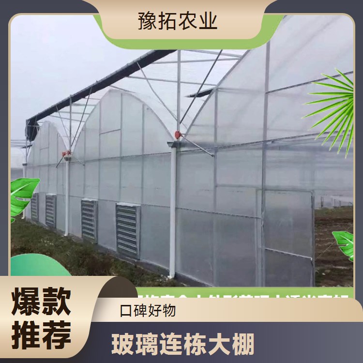智能玻璃连栋大棚 抗寒能力较强 农用高温大棚