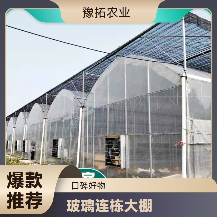 智能玻璃连栋大棚 抗寒能力较强 农用高温大棚