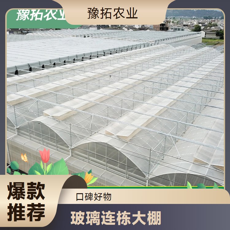 智能玻璃连栋大棚 抗寒能力较强 农用高温大棚