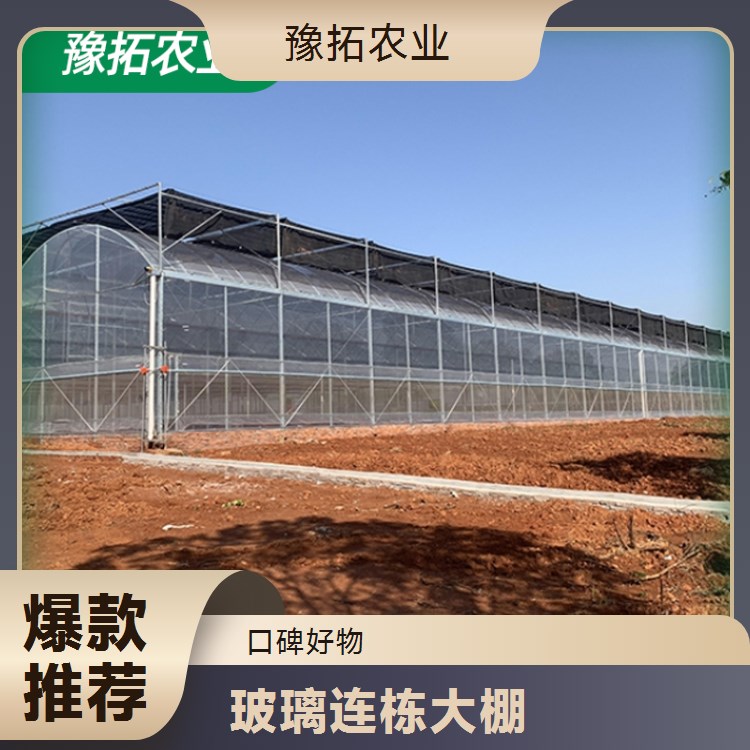 智能玻璃连栋大棚 抗寒能力较强 农用高温大棚