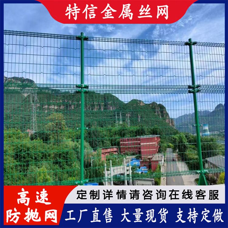 特信金属 焊接铁丝网 桥梁栏杆护栏 可开票 发货迅速 城市 绿色防抛网