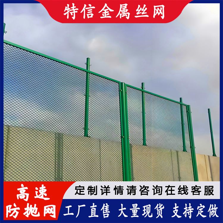 特信 公路安全护栏网 道路网护栏 防抛网 规格齐全 可按需定制
