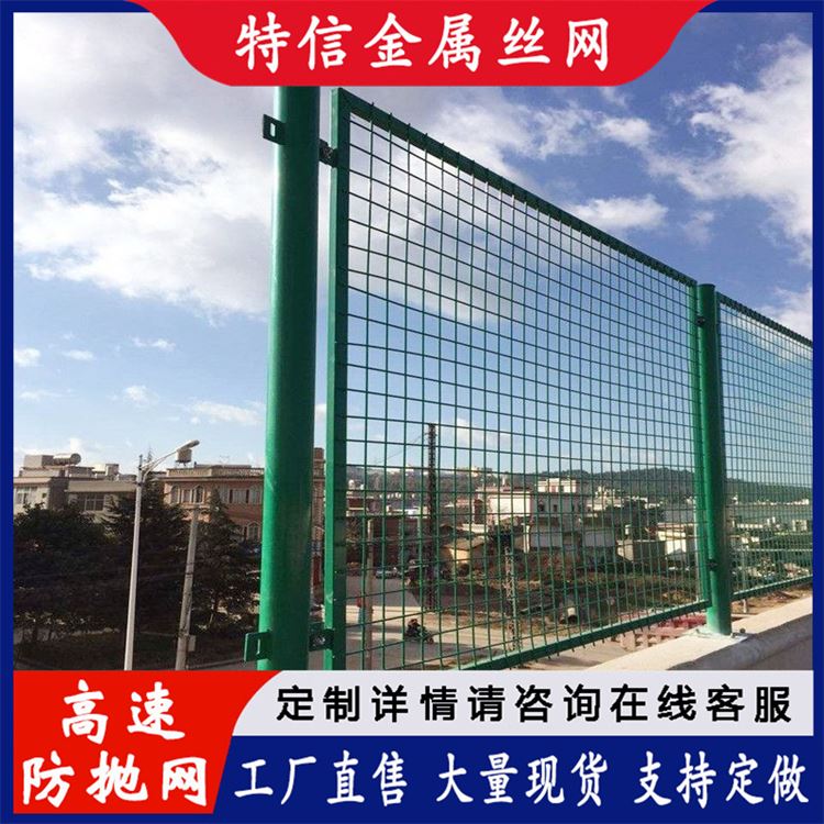 特信 高速专用防抛网 双边丝公路护栏网 桥梁护栏 源头厂家 支持定制