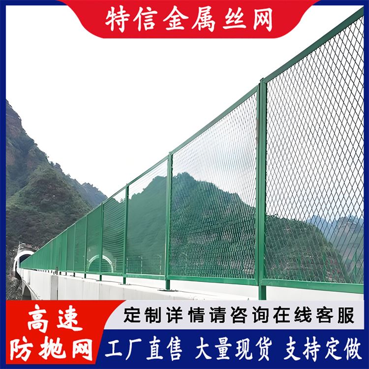特信金属 厂家直供 高速护栏厂家 菱格铁丝网 城市 绿色桥梁护栏网