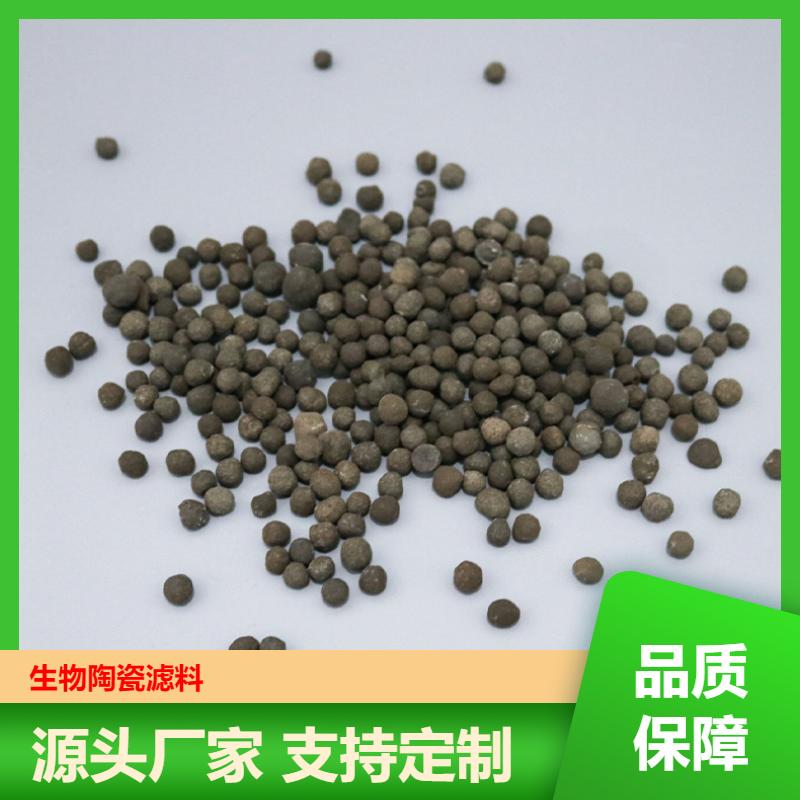 荣建化工 6-8mmBAF 陶粒滤料 河道治理 实力工厂