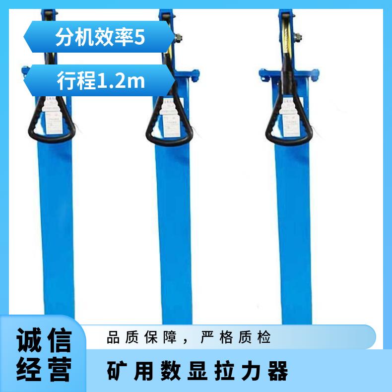 YSJ-20型单人检力器矿山救护 不受环境干扰 多种模式