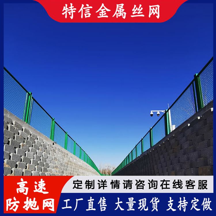 特信金属 绿色道路护栏 桥梁护栏网生产厂家 公路专用围栏网 质量优良
