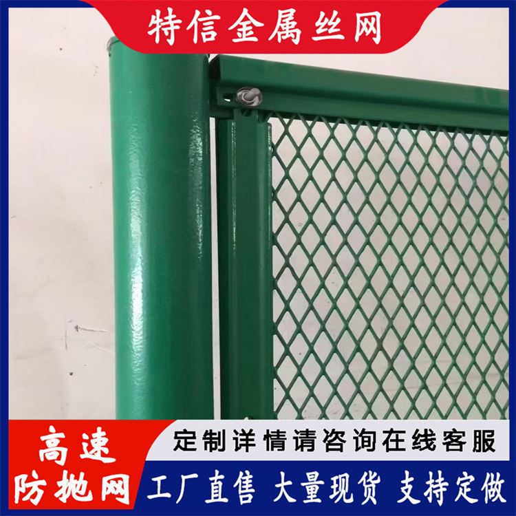 特信金属 桥梁防抛网 公路隔离栏 源头厂家 规格齐全 高速路护栏网厂家