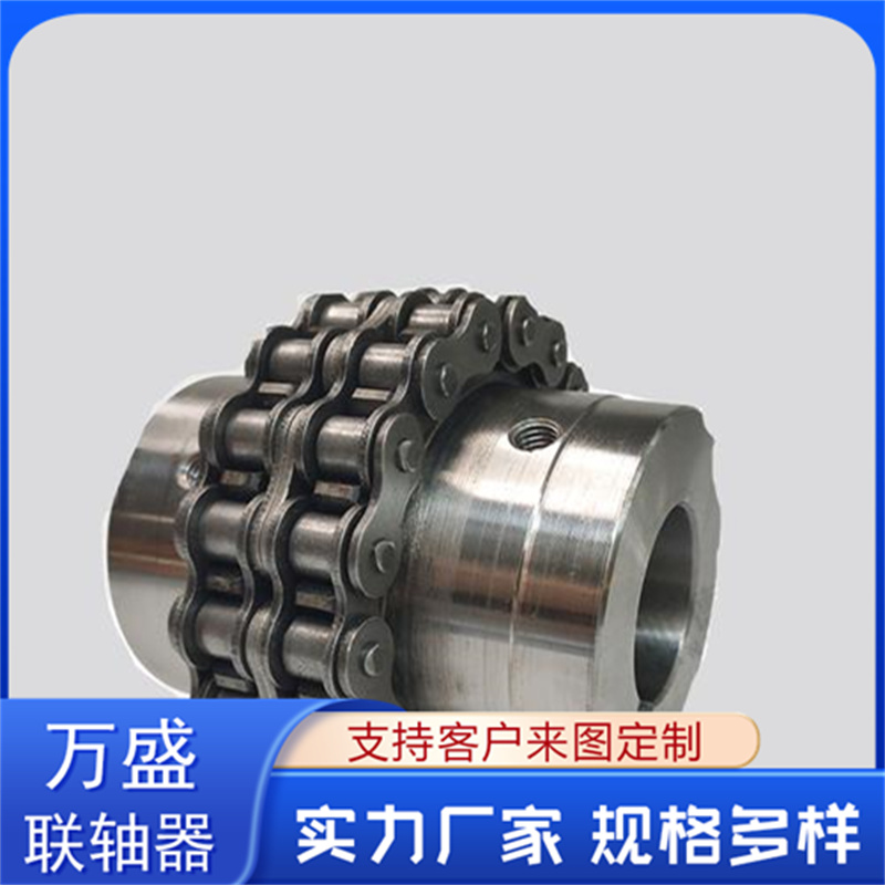 GLF15 双排滚子链联轴器 适应低速 风机专用 万盛