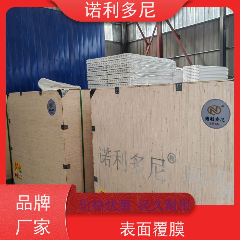 诺利多尼品牌大气污染治理设备PE塑烧板 1500-18型号