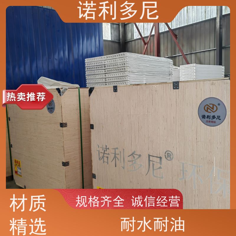 诺利多尼品牌过滤精度高规格多样耐腐蚀 塑烧板滤芯 