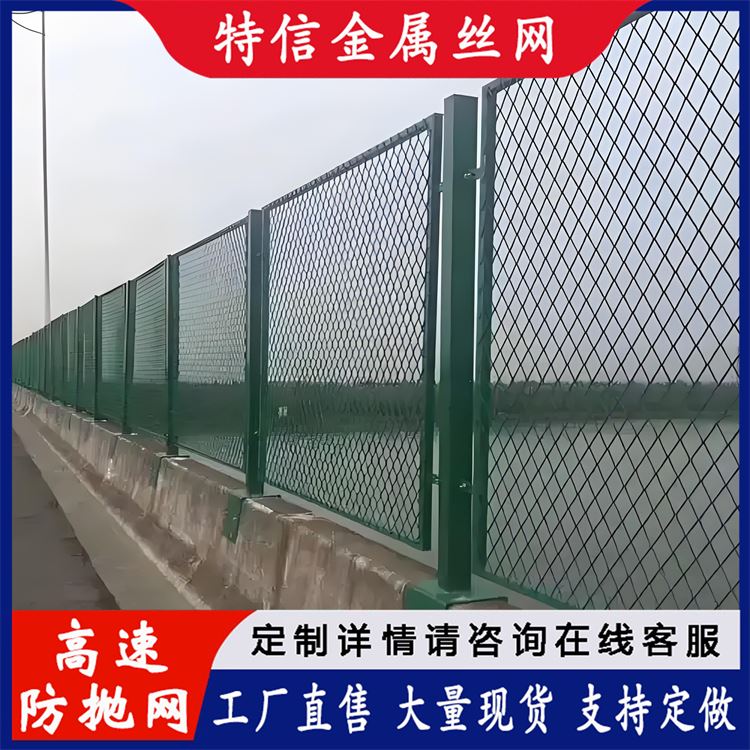 特信 高速公路桥梁防抛网 桥上护栏 铁路网围栏 厂家直供 发货迅速