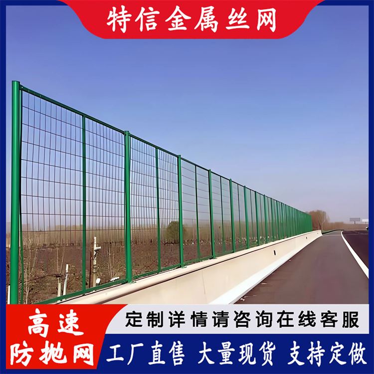 特信金属 防抛网生产厂 桥梁护栏网 防抛围栏网 经久耐用 可按需定制