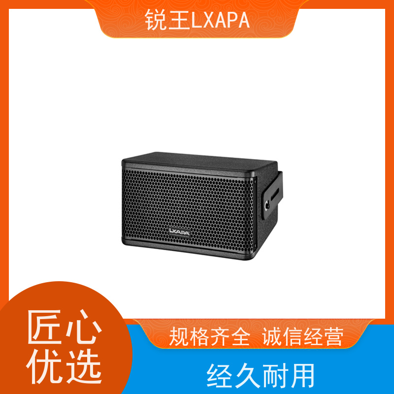 锐王LXAPA 多媒体教学音响设备 校园音柱 舞台演出扩音 会议壁挂音箱