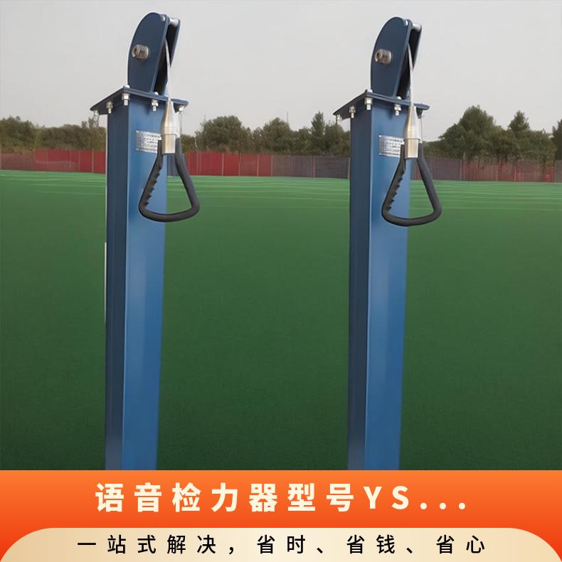 煤矿语音数显式检力器 尺寸320*1660mm 型号YSJ-20