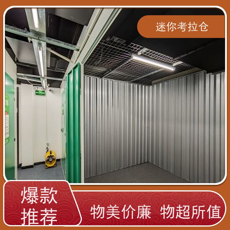 迷你考拉仓搬家存放家具仓库24h监控上海哪家便宜