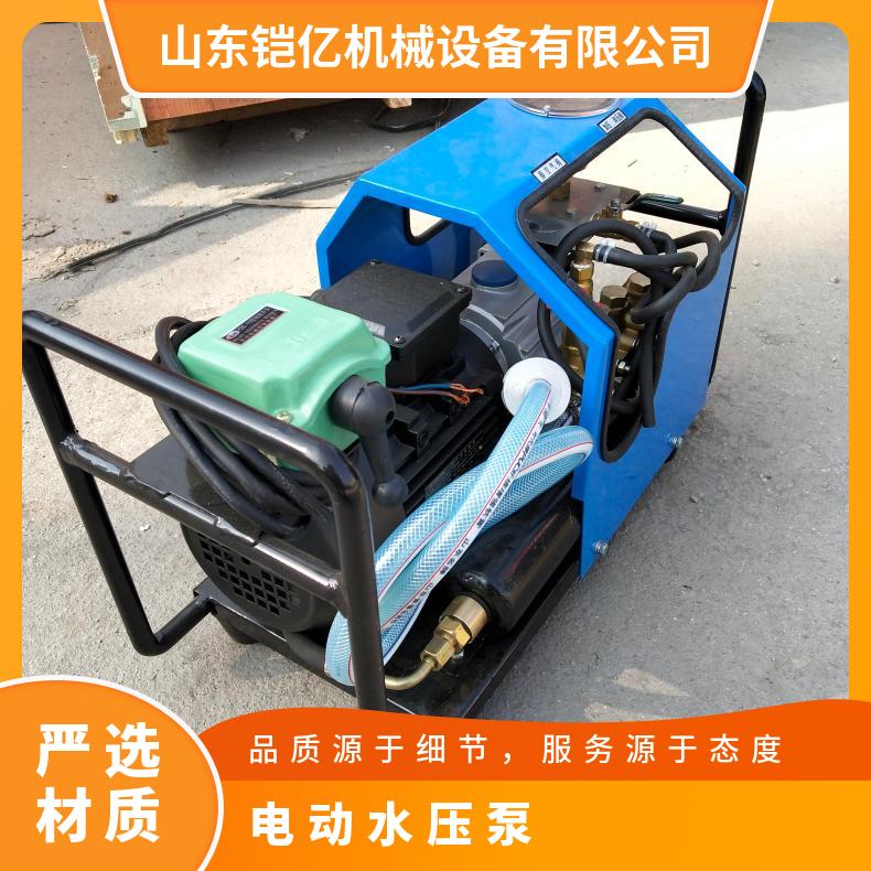 电动压力泵额定排出8L/min 硫化机用 LB7X10 重量23kg