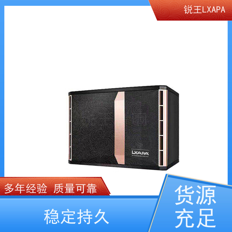 锐王LXAPA 数字会议系统 上下导向分流 人声音箱 礼堂音响设备