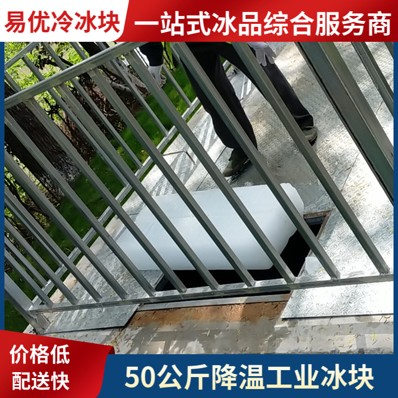 易优冷 夏天工厂专用 工业食品级 50公斤大冰块 专业团队生产