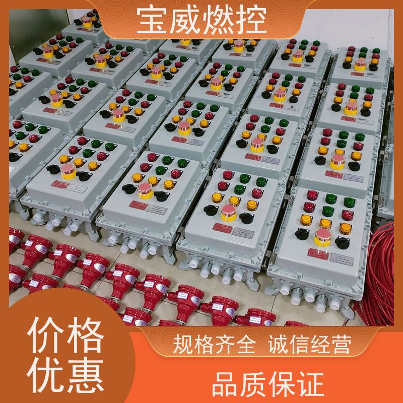 宝威燃控 化工厂 熄火报警仪 快速响应 性能稳定