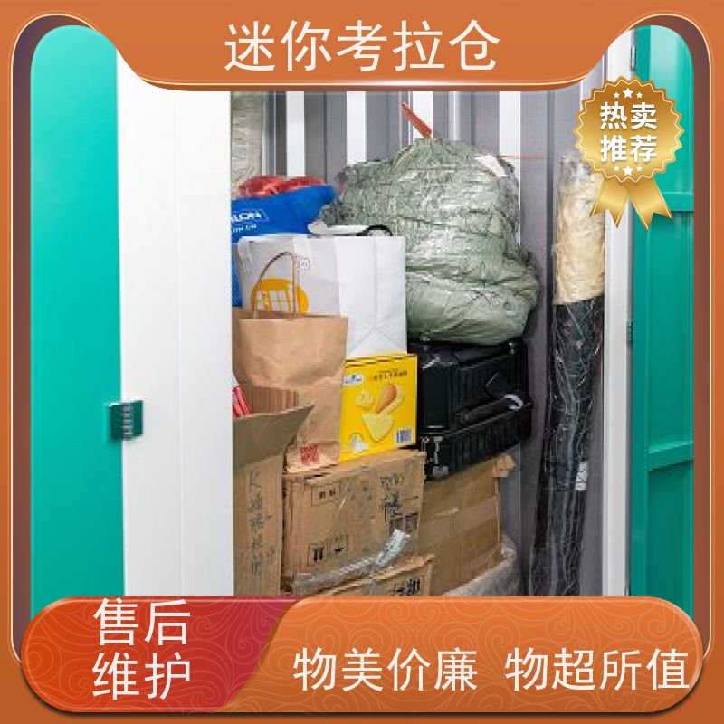 迷你考拉仓一人一仓出租广州搬家物品寄存仓库