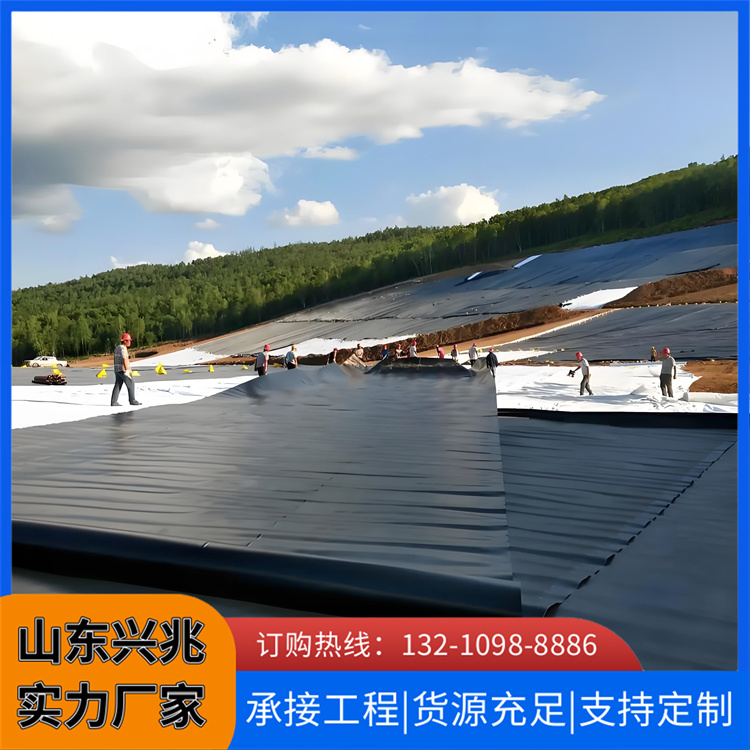 防渗漏沼气池土工膜 垃圾填埋场聚乙烯防渗膜 源头厂家