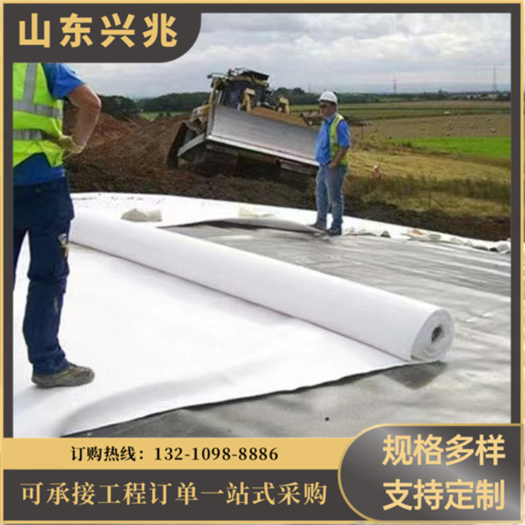 黑色加厚HDPE土工膜 鱼塘养殖蓄水池用防渗膜 厚度0.2-2.0mm厚 兴兆