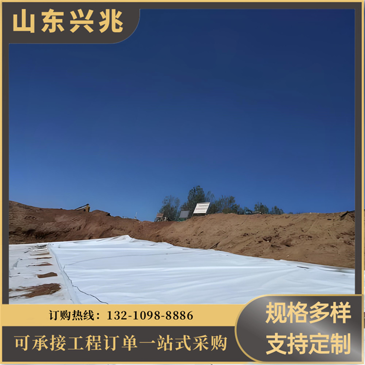 复合土工膜 人工湖鱼塘鱼池河道护坡防渗土工布 两布一膜