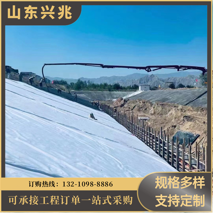 阻根 防渗膜 支持定制，满足个性化需求 垃圾填埋场专用 匠心打造