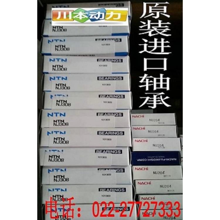 供应现货日本NACHI进口轴承6300ZZE深沟球规格齐全 铁封 胶封