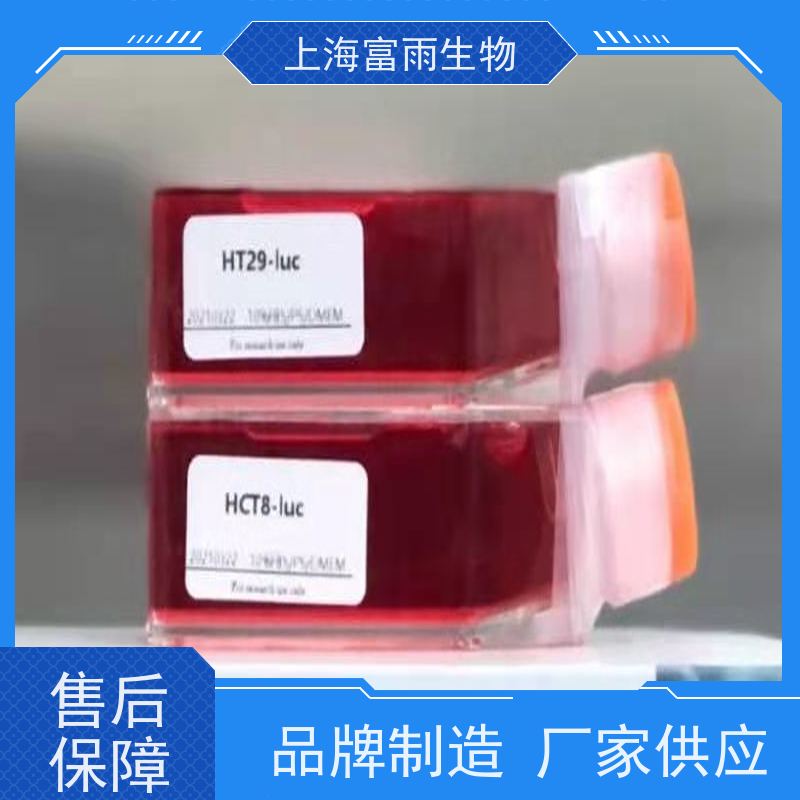 上海富雨 活性高代数低 LS174T细 胞 通过STR鉴定提供检测报告