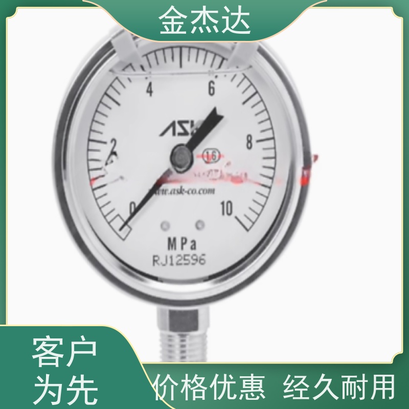 ASK进口压力表OPG-DT-R1/4 40MPa彩环盘式易读