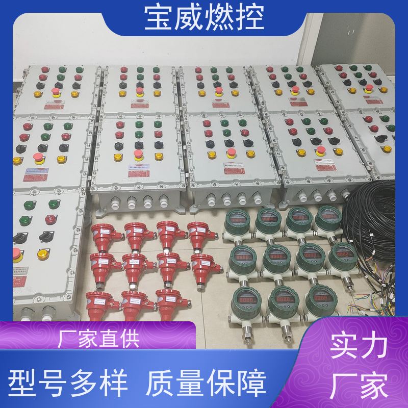 宝威燃控 钢铁厂钢包 熄火保护报警装置 生产厂家
