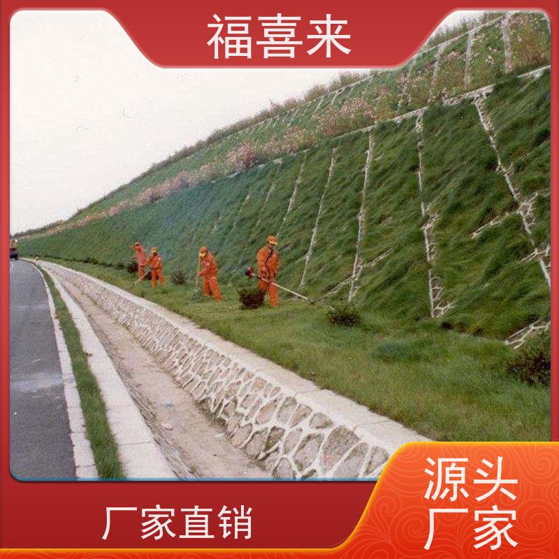 福喜来苗圃 马尼拉草皮出售 公园绿化混播草坪 常绿耐踩踏