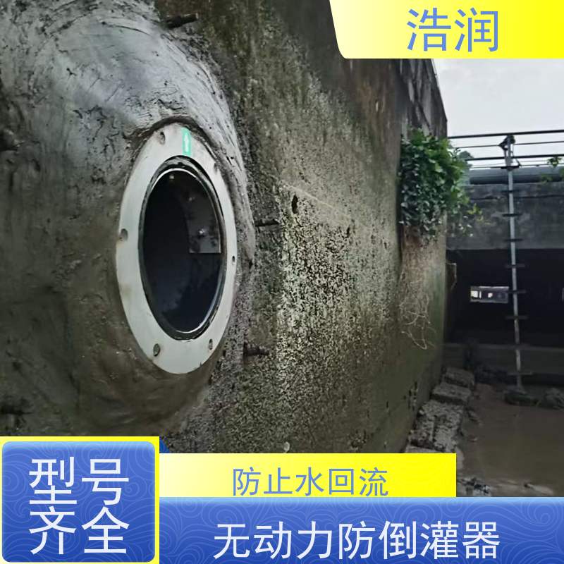 浩润 不锈钢管中型止回阀 雨污分流 智能截流 可定制