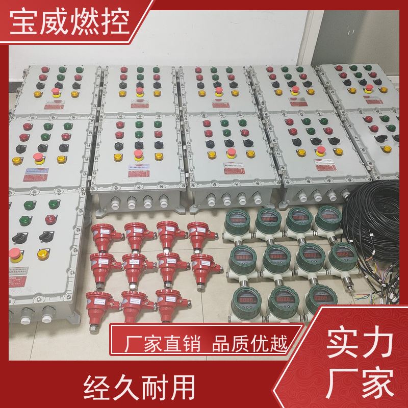 宝威燃控 燃烧器 熄火检测保护装置 紫外线型 非标定制