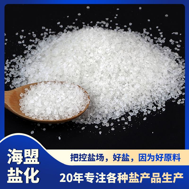 辉腾 50kg工业氯化钠99%含量水处理用粗中细国标精制海盟