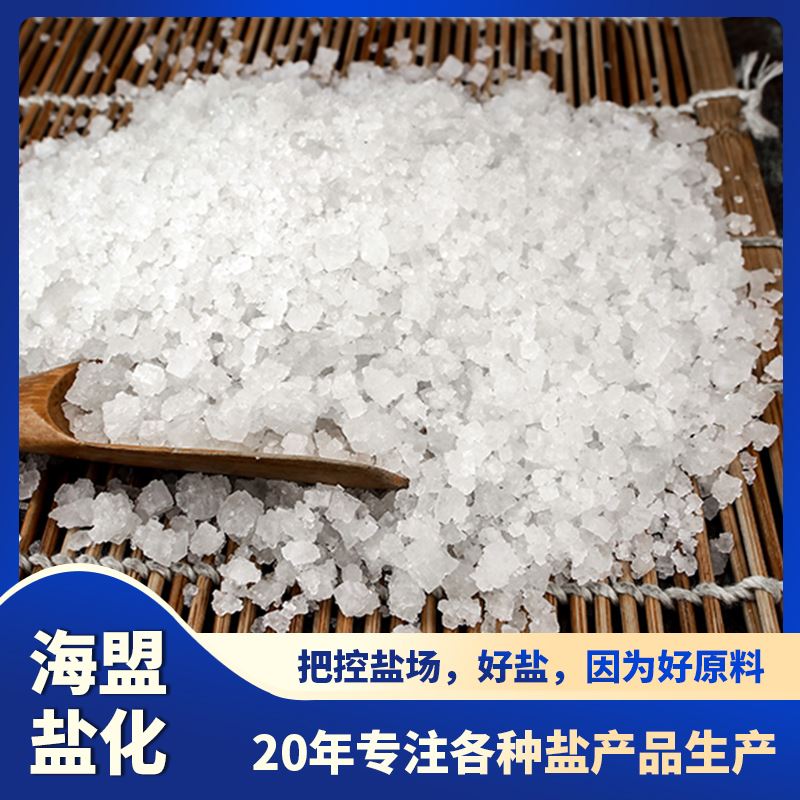 工业级大颗粒海盟 厂家批发大粒盐 94.5日晒7647-14-5